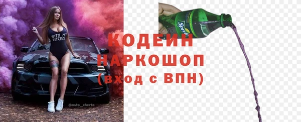 прущие крисы Новозыбков