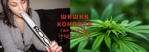прущие крисы Новозыбков