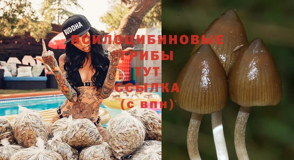 Альфа ПВП Новокубанск