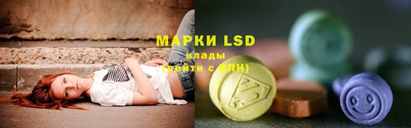 прущие крисы Новозыбков