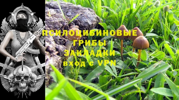прущие крисы Новозыбков