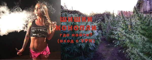 прущие крисы Новозыбков