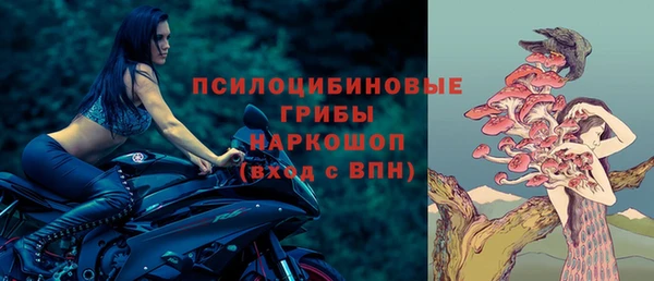 трава Новодвинск